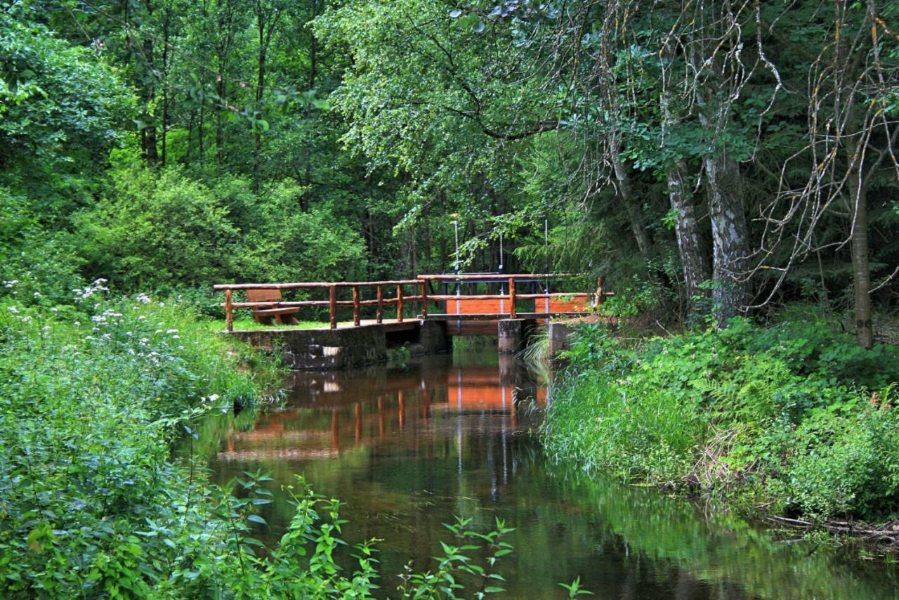 Ferienhaus Zum Haertschd Apartment Fischbach bei Dahn ภายนอก รูปภาพ