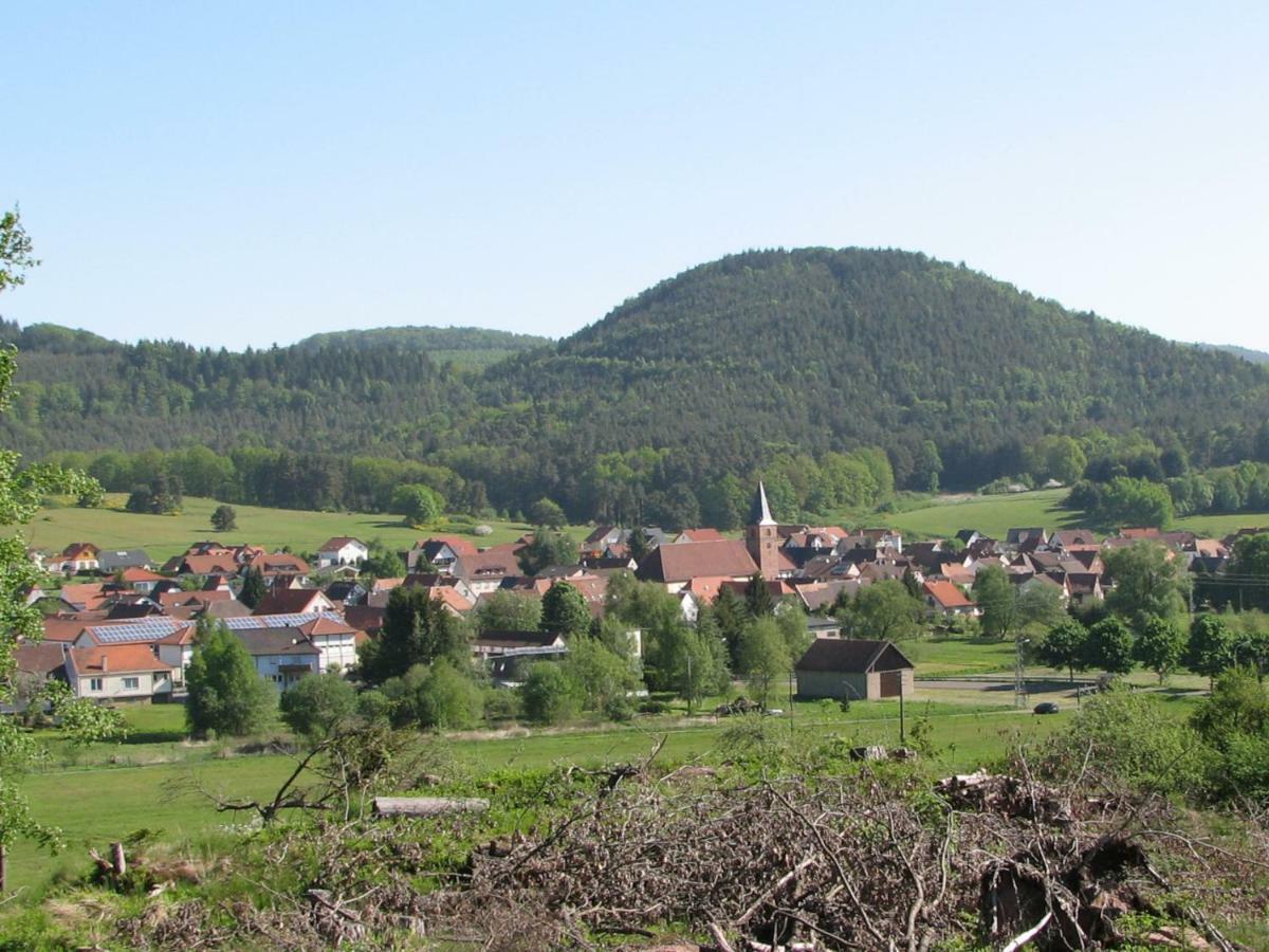 Ferienhaus Zum Haertschd Apartment Fischbach bei Dahn ภายนอก รูปภาพ